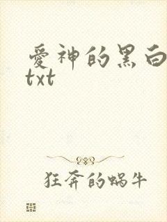 爱神的黑白羽翼txt