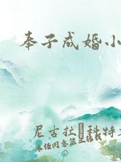 奉子成婚小说