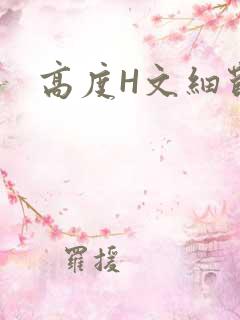 高度H文细节