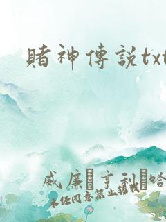 赌神传说txt