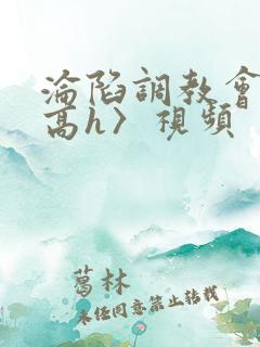 沦陷调教会所〈高h〉视频