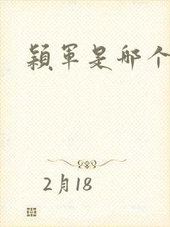 颖军是哪个军阀