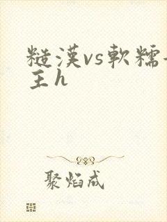 糙汉vs软糯女主h