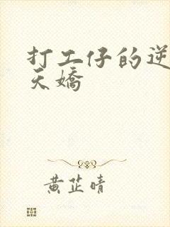 打工仔的逆袭楚天娇