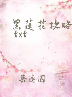 黑莲花攻略手册 txt