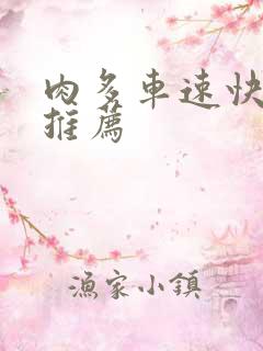 肉多车速快的书推荐