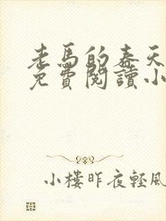 老马的春天全文免费阅读小说