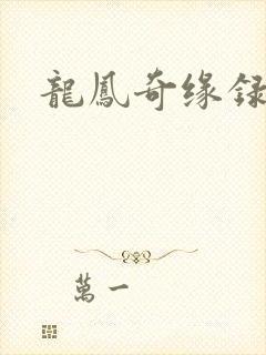龙凤奇缘录