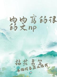 肉肉写的很细致的文np