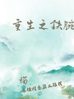 重生之铁腕大亨