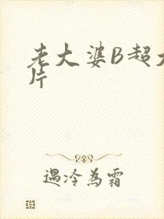 老大婆B超大图片