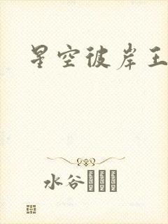 星空彼岸王轩