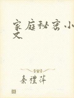 家庭秘密小说全文