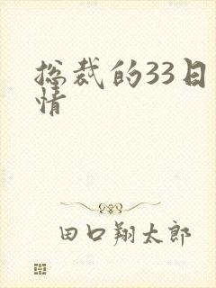 总裁的33日索情