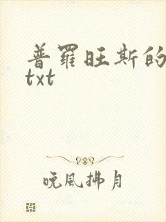 普罗旺斯的一年txt