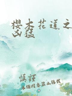 樱木花道之重生凶猛