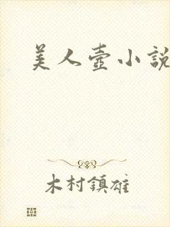 美人壶小说