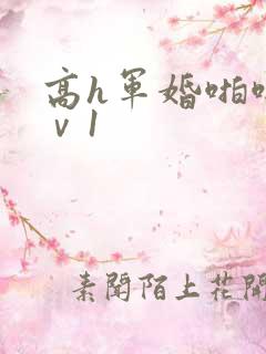 高h军婚啪啪1ⅴ1