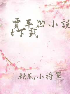 贾平凹小说txt下载