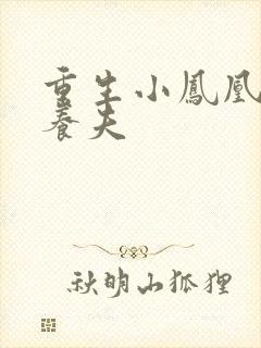 重生小凤凰的童养夫