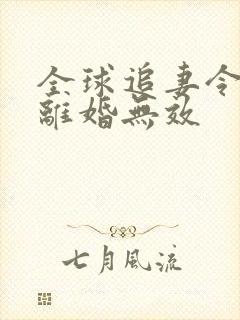 全球追妻令老婆离婚无效