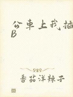 公车上我插上骚B