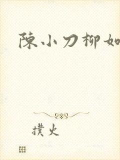 陈小刀柳如意