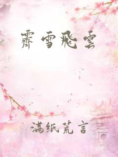 霁雪飞云