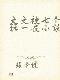 文文被七个男人玩一夜小说