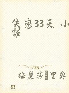 失恋33天 小说