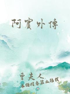 阿宾外传
