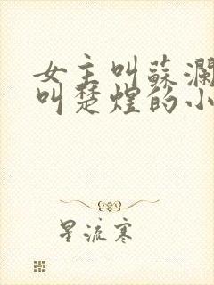 女主叫苏澜男主叫楚煜的小说