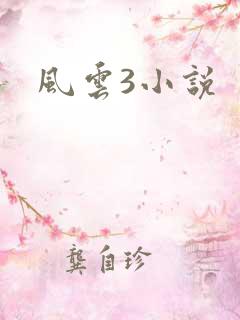 风云3小说