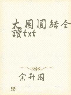 大团圆结全文阅读txt