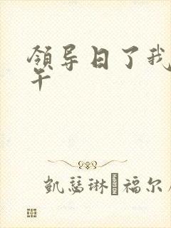 领导日了我一下午