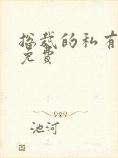 总裁的私有宝贝免费