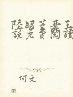 陆昭菱晋王的小说免费阅读