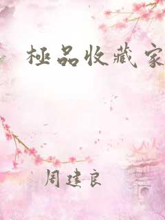 极品收藏家