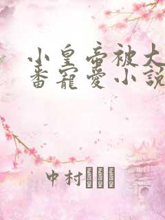 小皇帝被大臣轮番宠爱小说