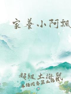 家养小阿飘殿下