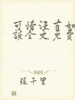 可惜没有如果小说全文免费阅读