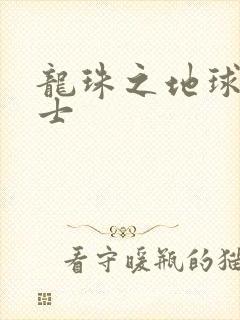 龙珠之地球人战士