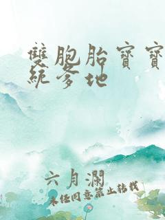 双胞胎宝宝的总统爹地