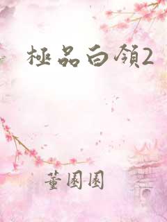 极品白领2