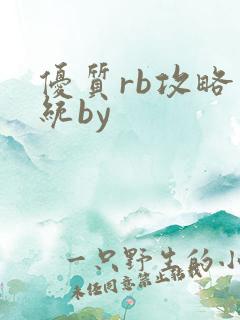 优质rb攻略系统by