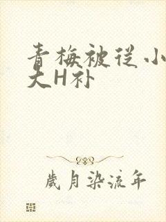 青梅被从小摸到大H补