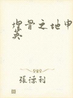 埋骨之地申屠奎英