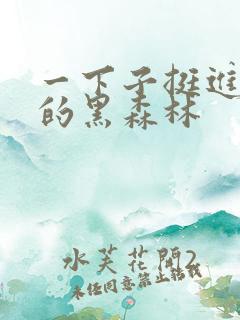 一下子挺进浓密的黑森林