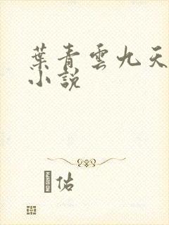 叶青云九天玄宗小说