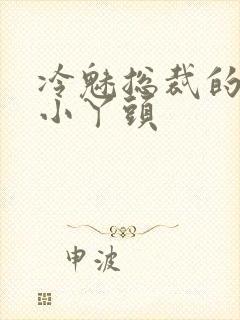 冷魅总裁的纯纯小丫头